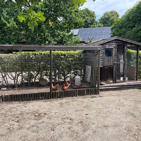 Completely Renovated Back Part Of A Farm Villa Uden Exterior photo