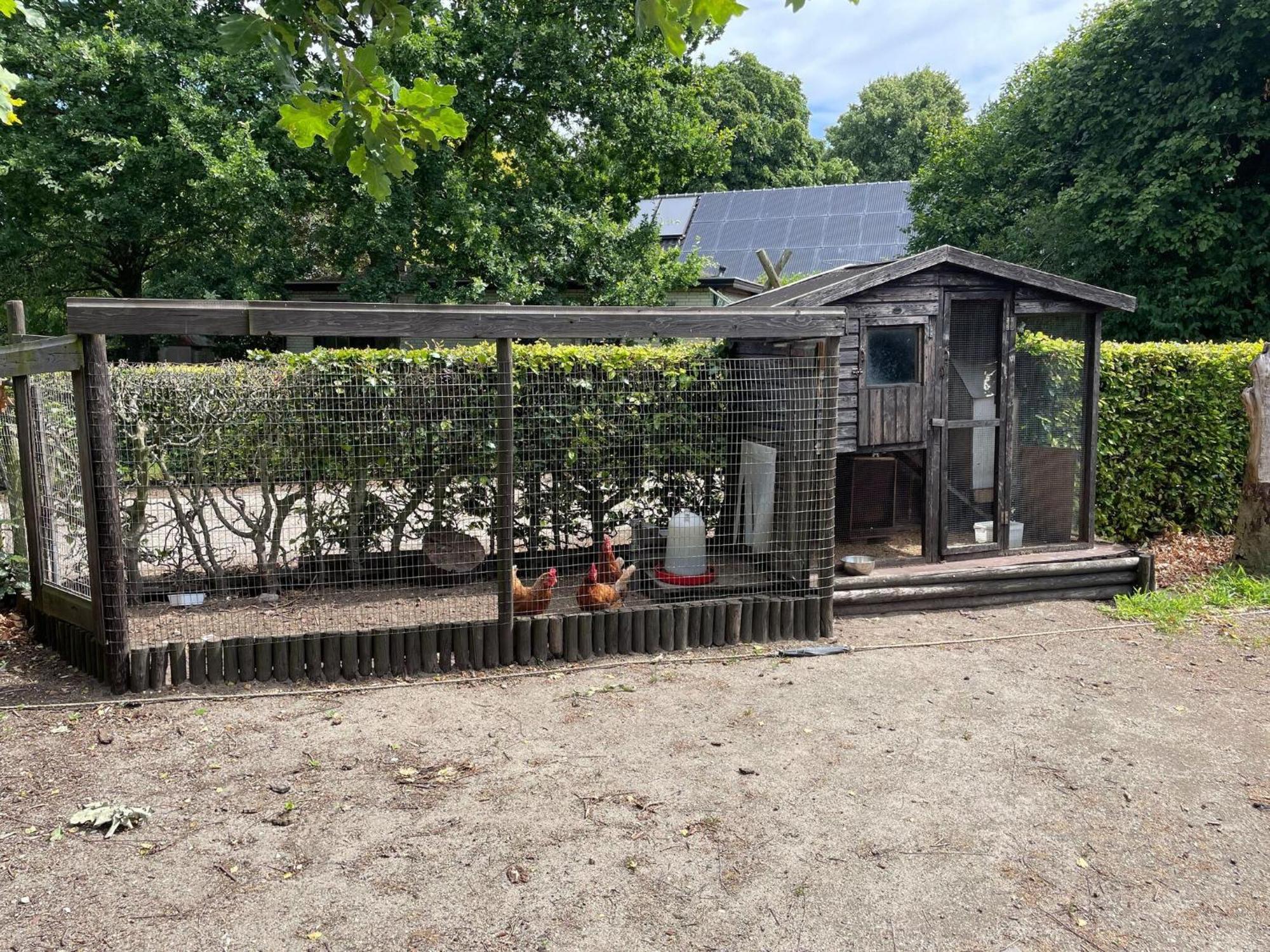 Completely Renovated Back Part Of A Farm Villa Uden Exterior photo